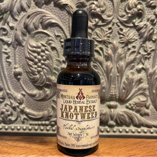 Japanese Knotweed Herbal Tincture