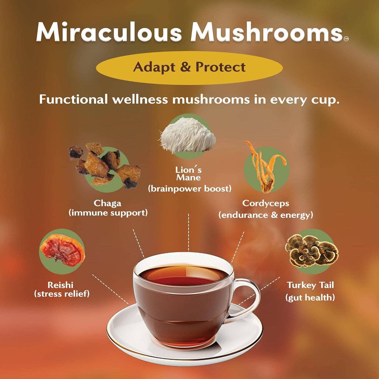 Miraculous Mushrooms Herbal Tea