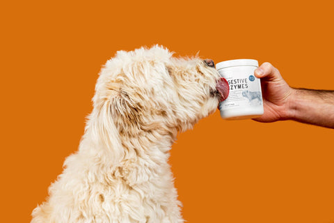 Digestive Enzymes with Probiotics