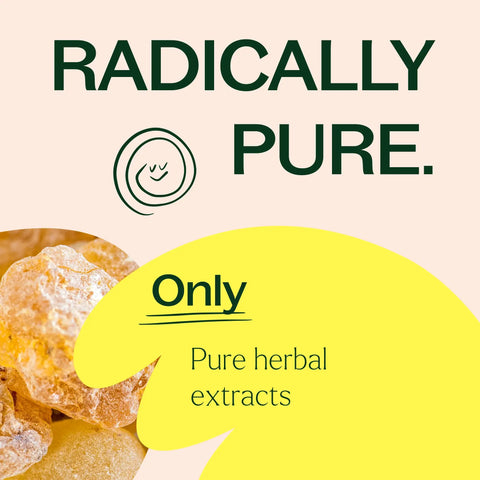 Boswellia Herbal Supplement Capsules-120 Capsules