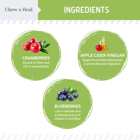 Low Calorie Plant Based Soft Jerky Treats for Dogs