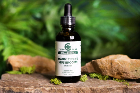 Magnificent Mushrooms Tincture
