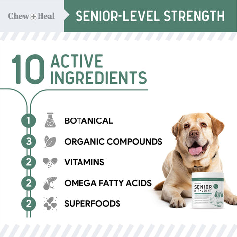 Senior Advanced Hip and Joint Soft Chews