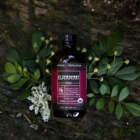 Elderberry Tonic