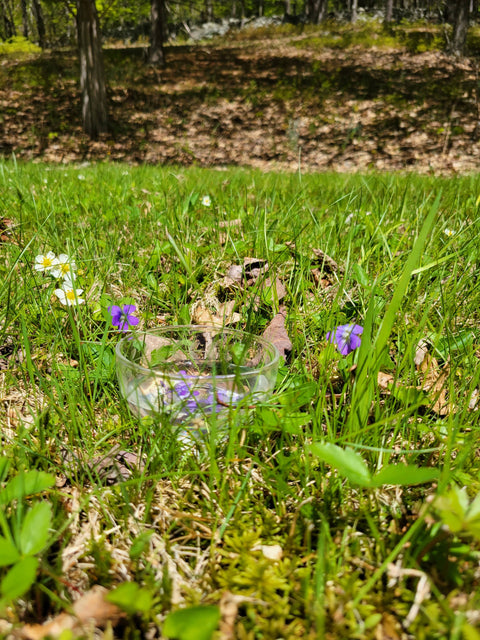 Violet Flower Essence | Homeopathic Vibrational Remedy