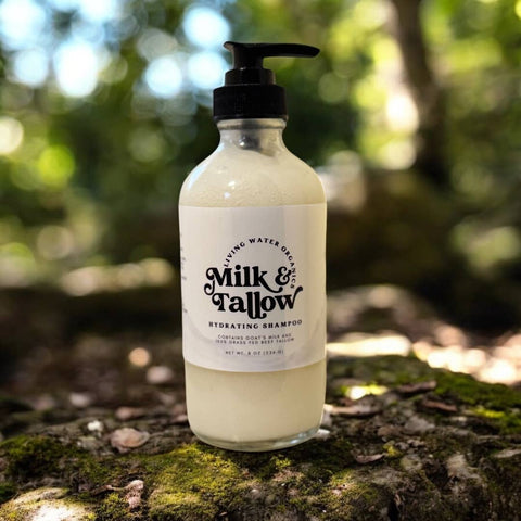 Goat Milk and Tallow Hydrating Shampoo