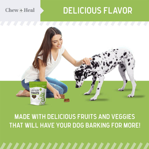 Low Calorie Plant Based Soft Jerky Treats for Dogs