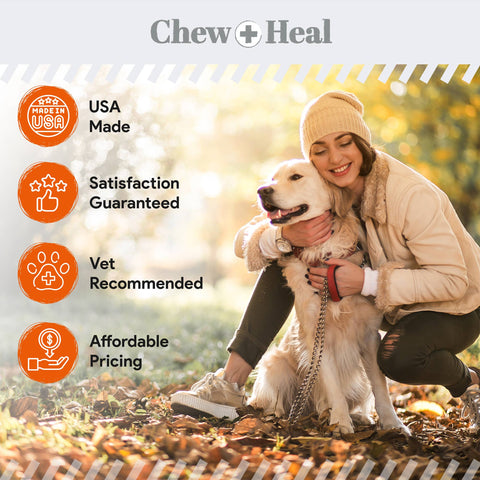 Crunchy Treats with Pumpkin & Probiotics for Dogs