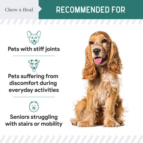 Green Lipped Mussel Powder for Hip & Joint