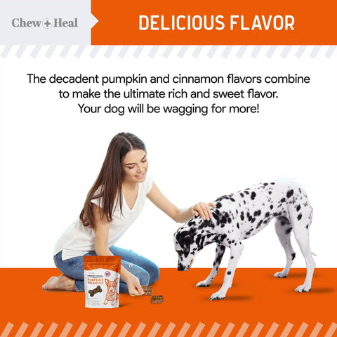 Crunchy Treats with Pumpkin & Probiotics for Dogs