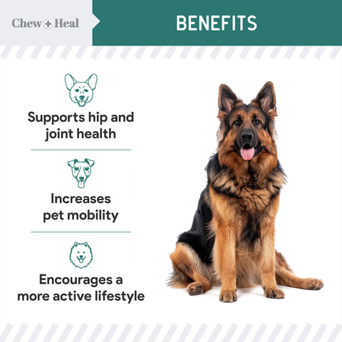 Green Lipped Mussel Powder for Hip & Joint