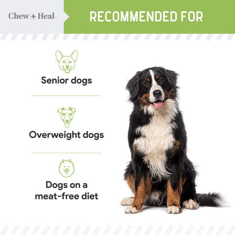 Low Calorie Plant Based Soft Jerky Treats for Dogs