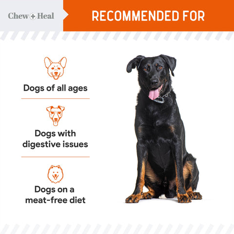 Crunchy Treats with Pumpkin & Probiotics for Dogs