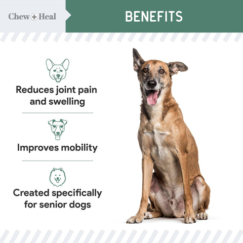 Senior Advanced Hip and Joint Soft Chews