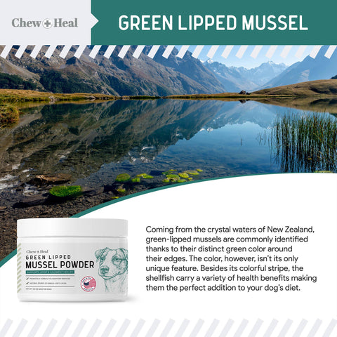 Green Lipped Mussel Powder for Hip & Joint