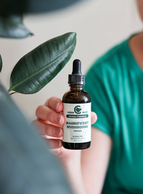 Magnificent Mushrooms Tincture