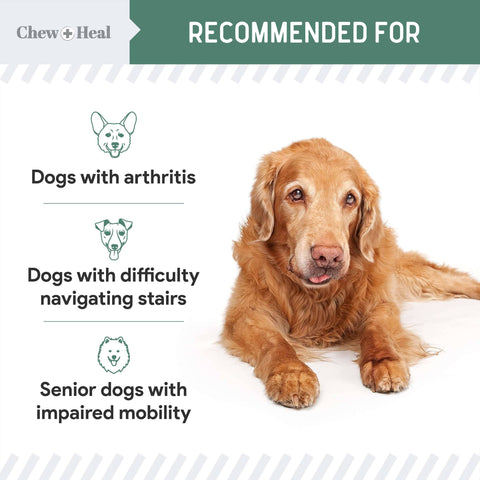 Senior Advanced Hip and Joint Soft Chews