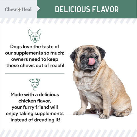 Senior Advanced Hip and Joint Soft Chews