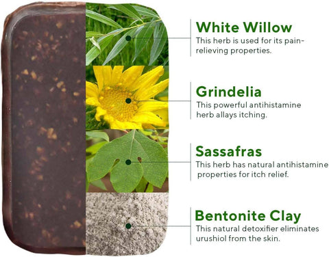 Poison Ivy & Oak Soap | Natural Anti-Itch Cleanser 2.9 Oz