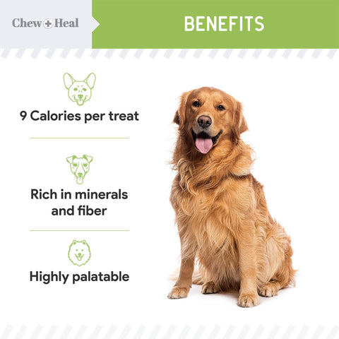 Low Calorie Plant Based Soft Jerky Treats for Dogs