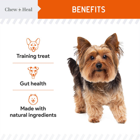 Crunchy Treats with Pumpkin & Probiotics for Dogs