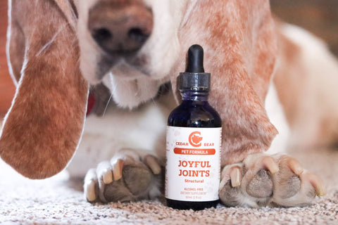 Pet's Joyful Joints