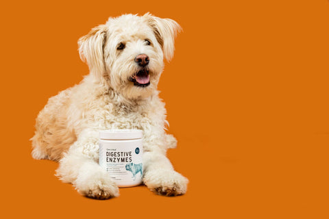 Digestive Enzymes with Probiotics